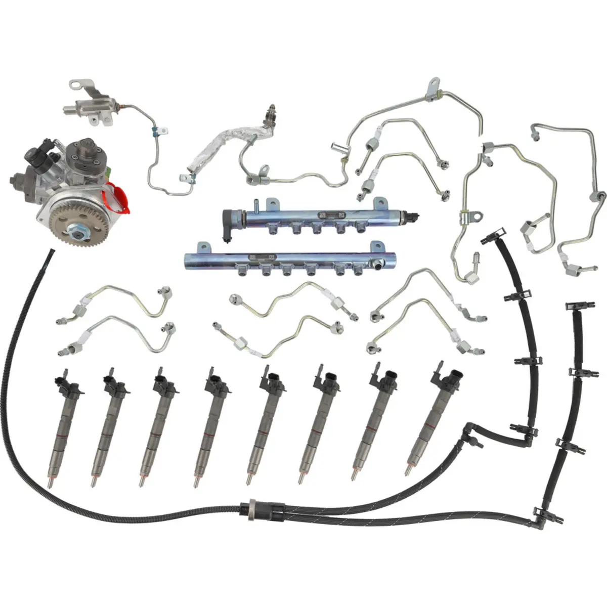 Fuel Contamination Replacement Package, 2011-2016 Lml 1