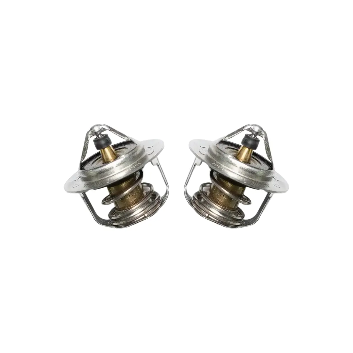 Gm Thermostat Kit, 2017-2026 L5p/L5d 1
