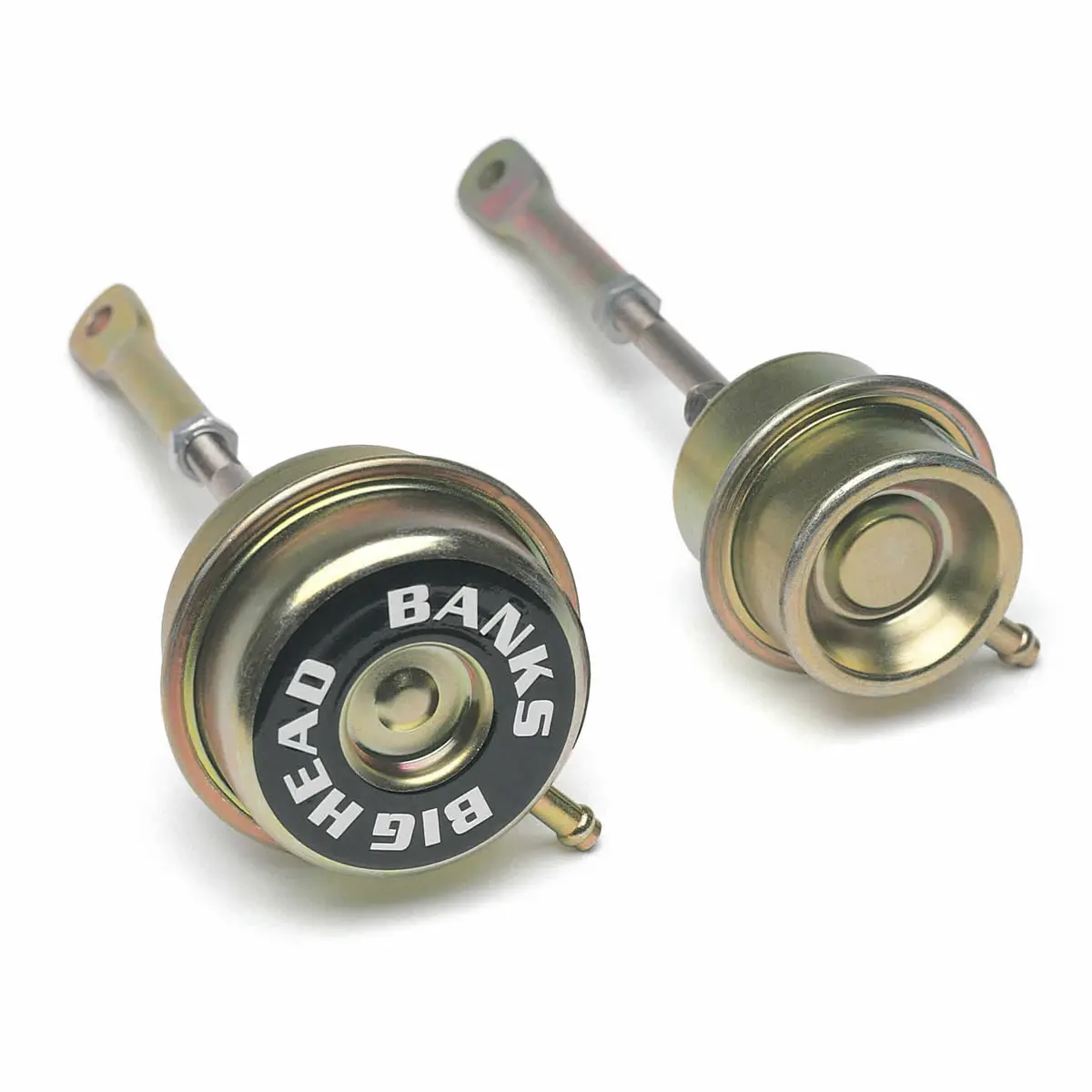 Bighead Actuator 2