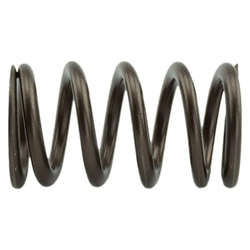 Industrial Injection 95Lb Upgraded Valve Springs - 1998.5-2024 24V Cummins 1