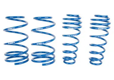 2005-2014 Roush Mustang Lowering Springs 1