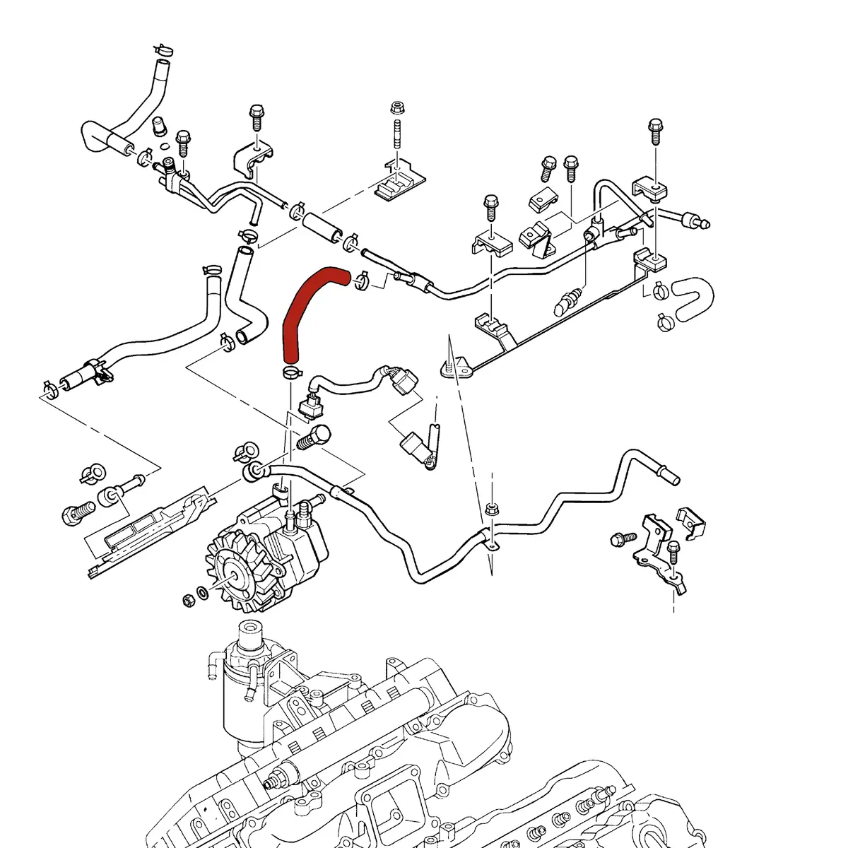 Dmaxstore Cp3 Injection Pump Return Hose, 2004.5-2005 Lly 2