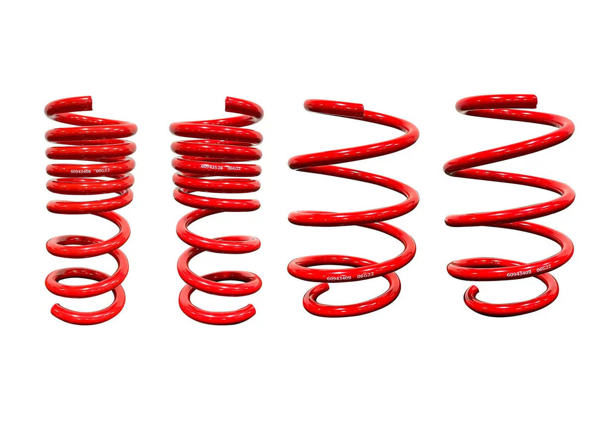 2018-2026 Roush Mustang Magneride Lowering Springs 1