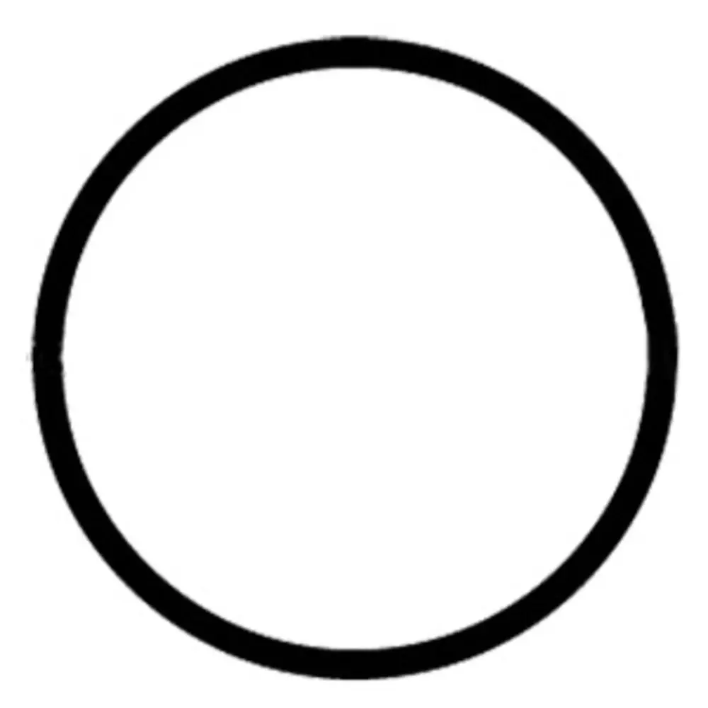 Or-5Mt-Fs O-Ring For Watts/Flowmatic Filter Housing Fh4100ww14 1