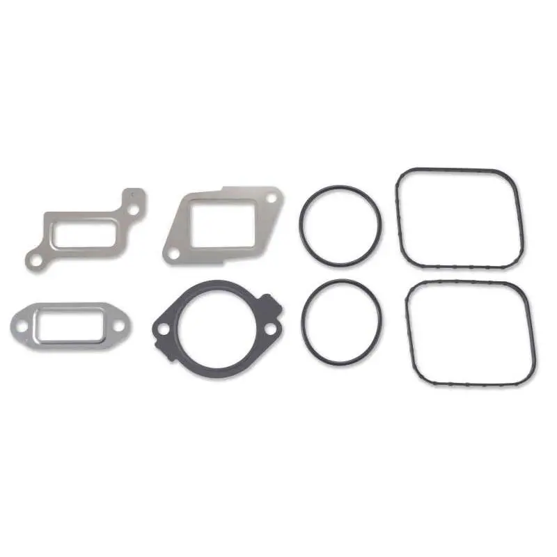 High-Pressure Fuel Pump/Egr Valve Installation Kit 1