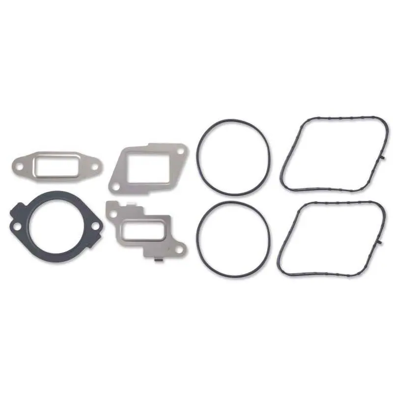 High-Pressure Fuel Pump/Egr Valve Installation Kit 1