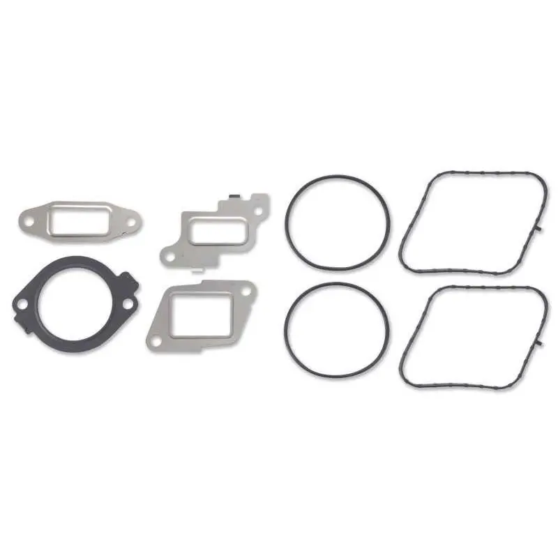 High-Pressure Fuel Pump/Egr Valve Installation Kit 1