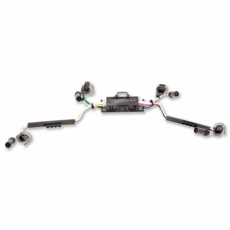 Internal Injector Harness 1