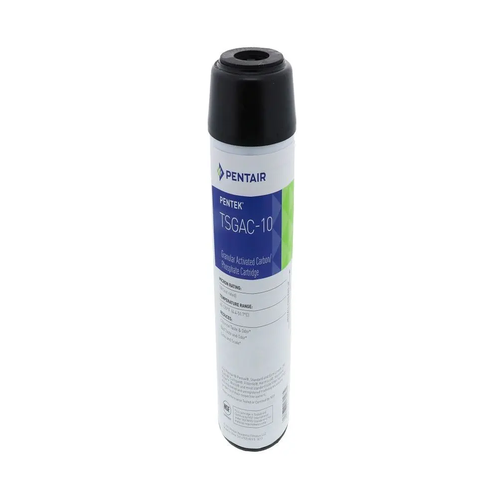 Pentek 155131-43 Tsgac-10/Cgt-10S Combination Carbon/Phosphate Filter (Cgt-20) 1