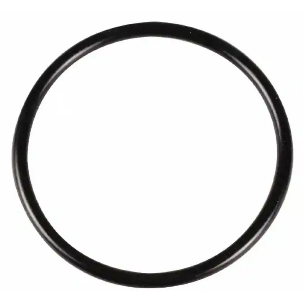 O-Ring For Microline/Clack Housing (New Style) 1