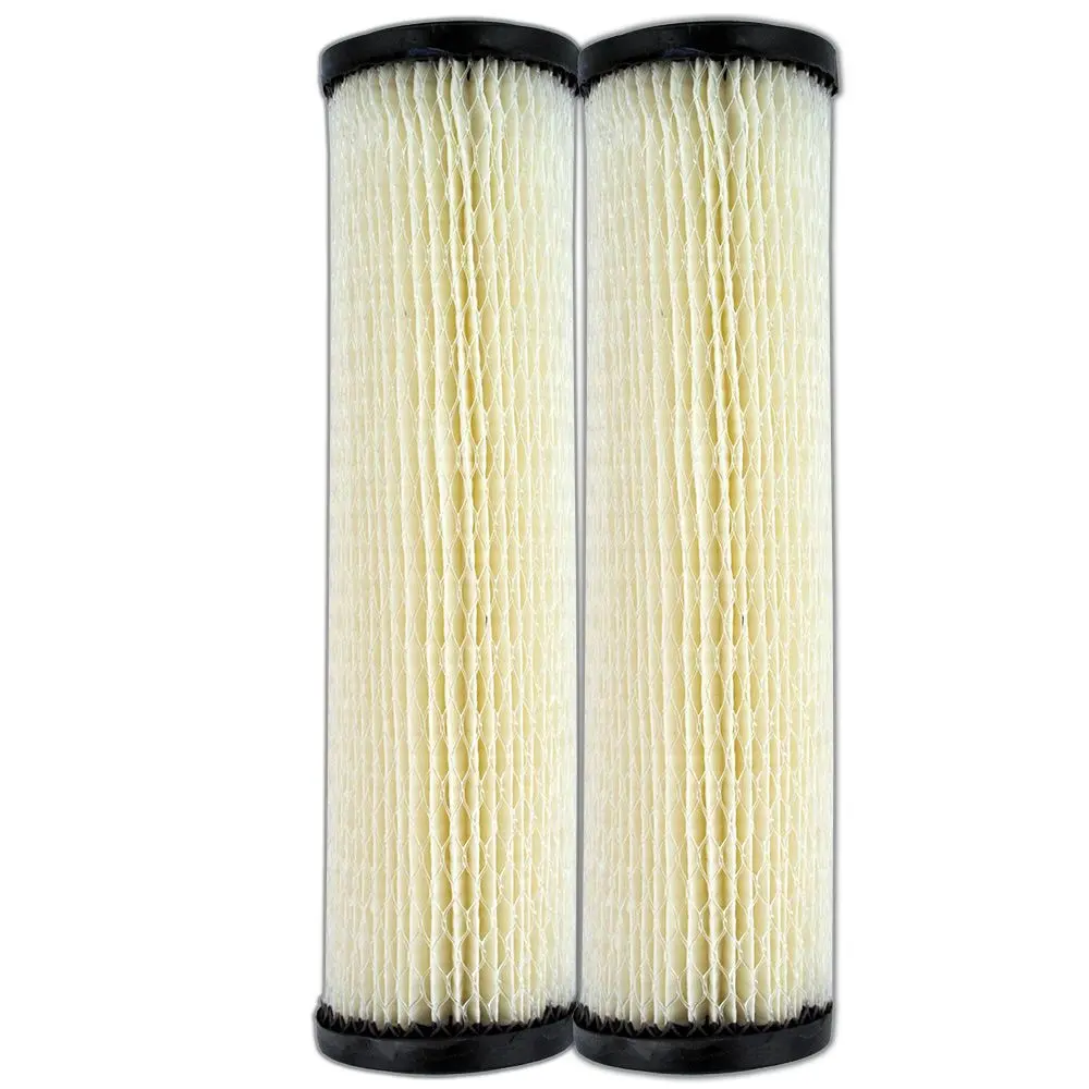 9 3/4" Omnifilter S1 / Rs1-Ds Pleated Cellulose 20 Mic Filter, 2-Pack 1