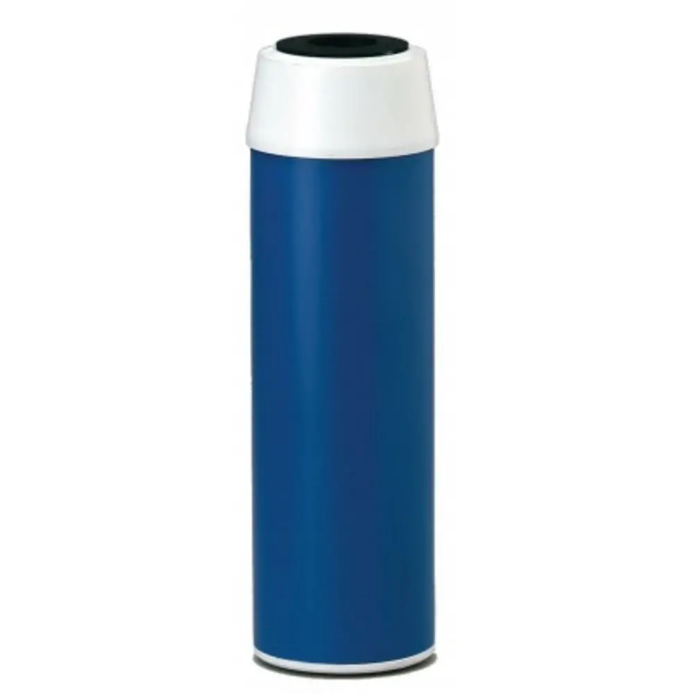 Everpure Costguard - Cgt-10 (Gac-10) - Replacement Water Filter 1