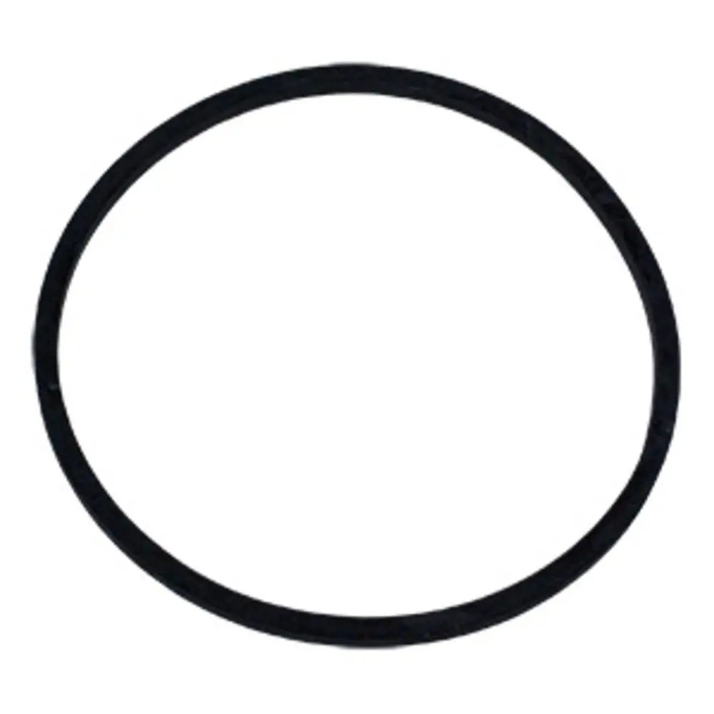 O-Ring For Aqua-Pure Upflow Flange Head Apun101/201/301 1