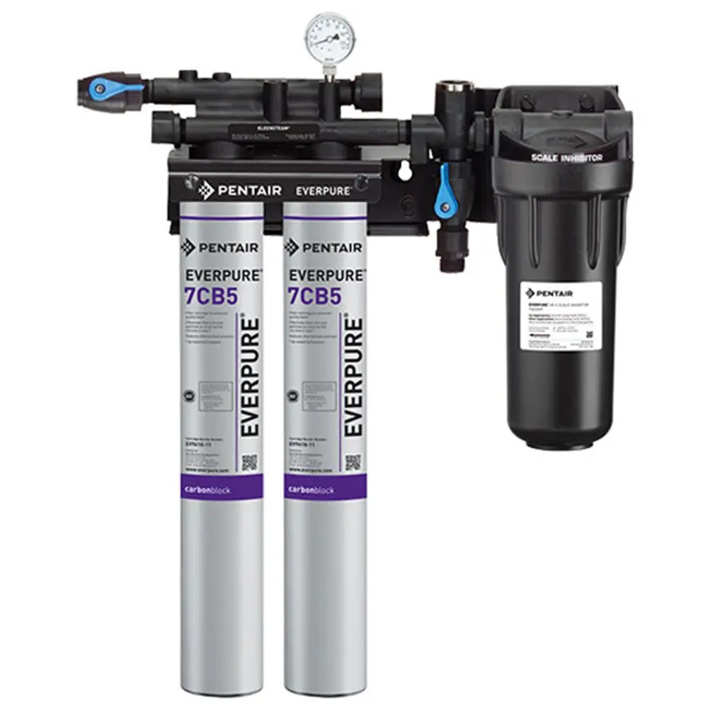 Everpure Ev9797-22 Kleensteam Ii Twin System For Steam Applications 1