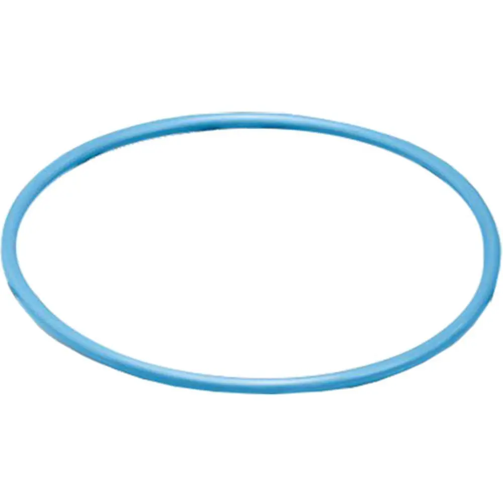 O-Ring - Omnifilter® K4 Replacement O-Ring (Not U24, U25 & Bf7) 1