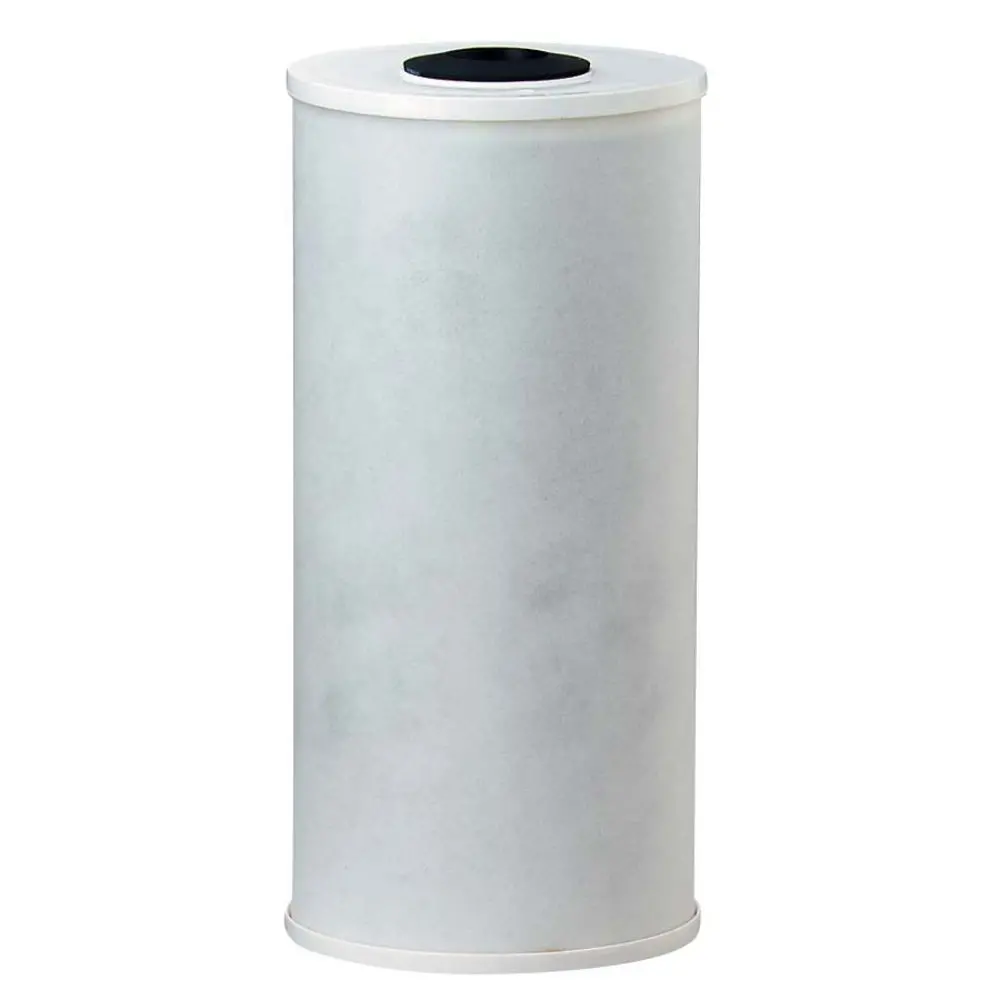 Watts Maxrfl-Ff975 9-3/4" Bb C-Max Radial Flow Gac Filter 20 Mic 1