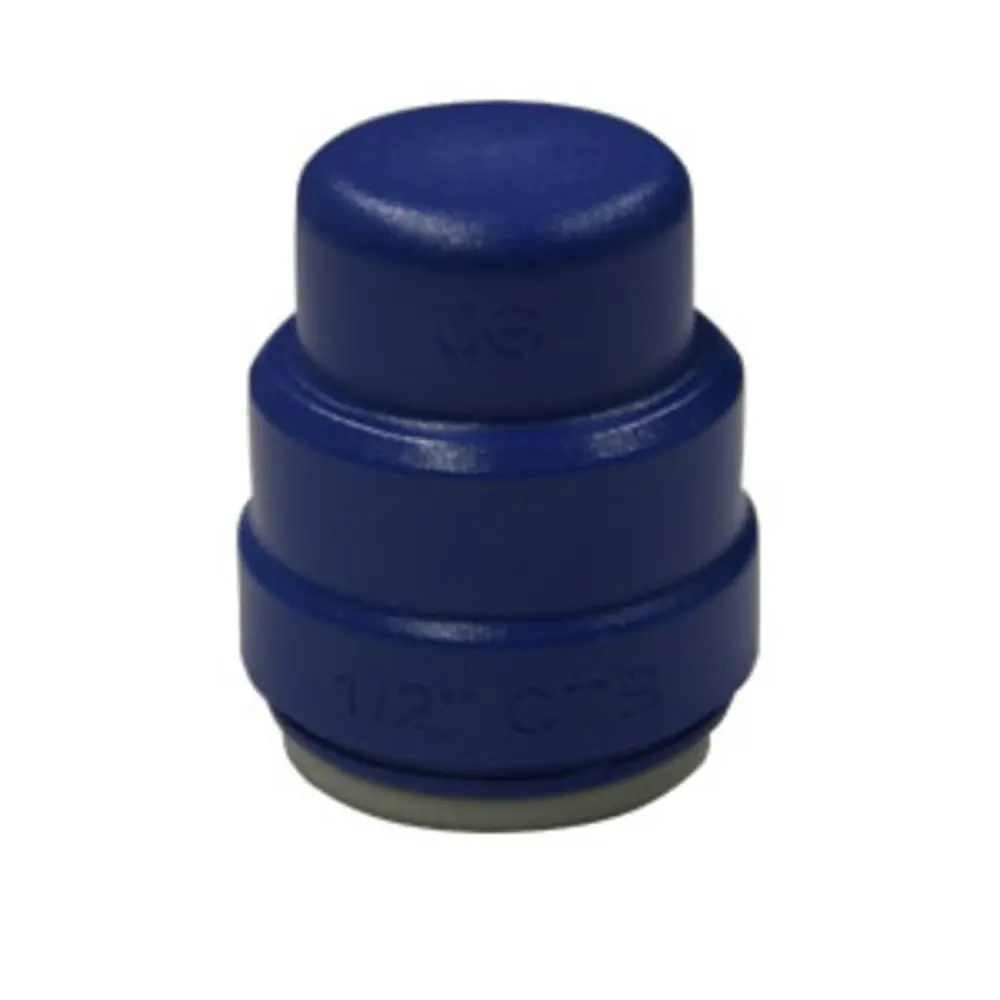 John Guest Color Coded End Cap Blue - 3/4 Cts Test Cap 1