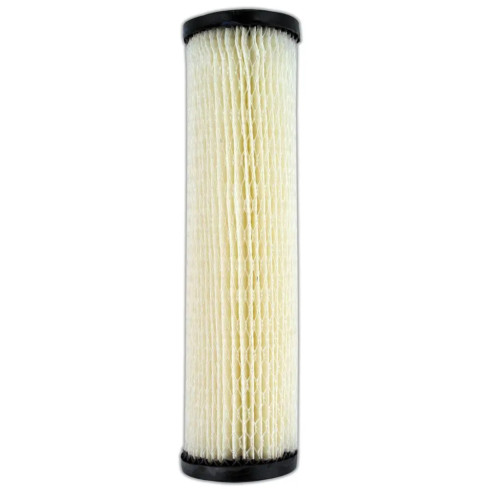9 3/4" Omnifilter Rs1-Ss Pleated Cellulose 20 Mic Filter 1