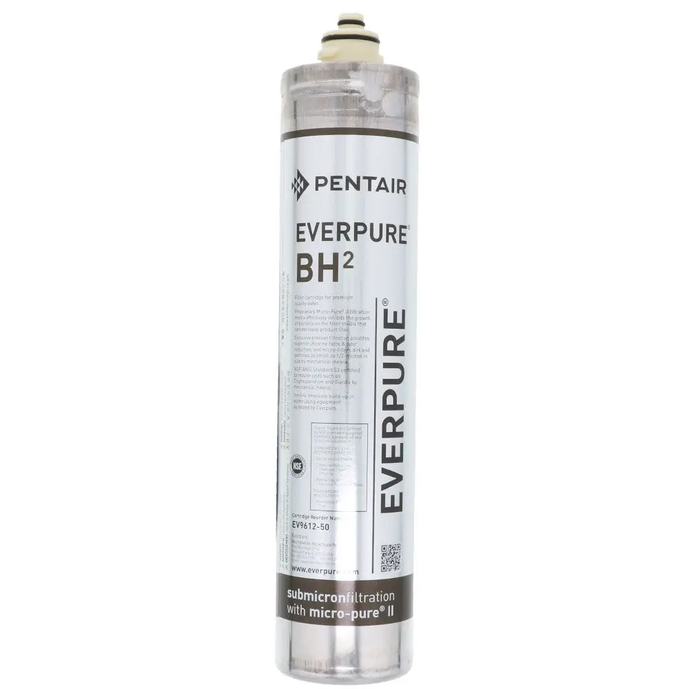 Everpure Bh2 Ev9612-50 Filter Cartridge 1