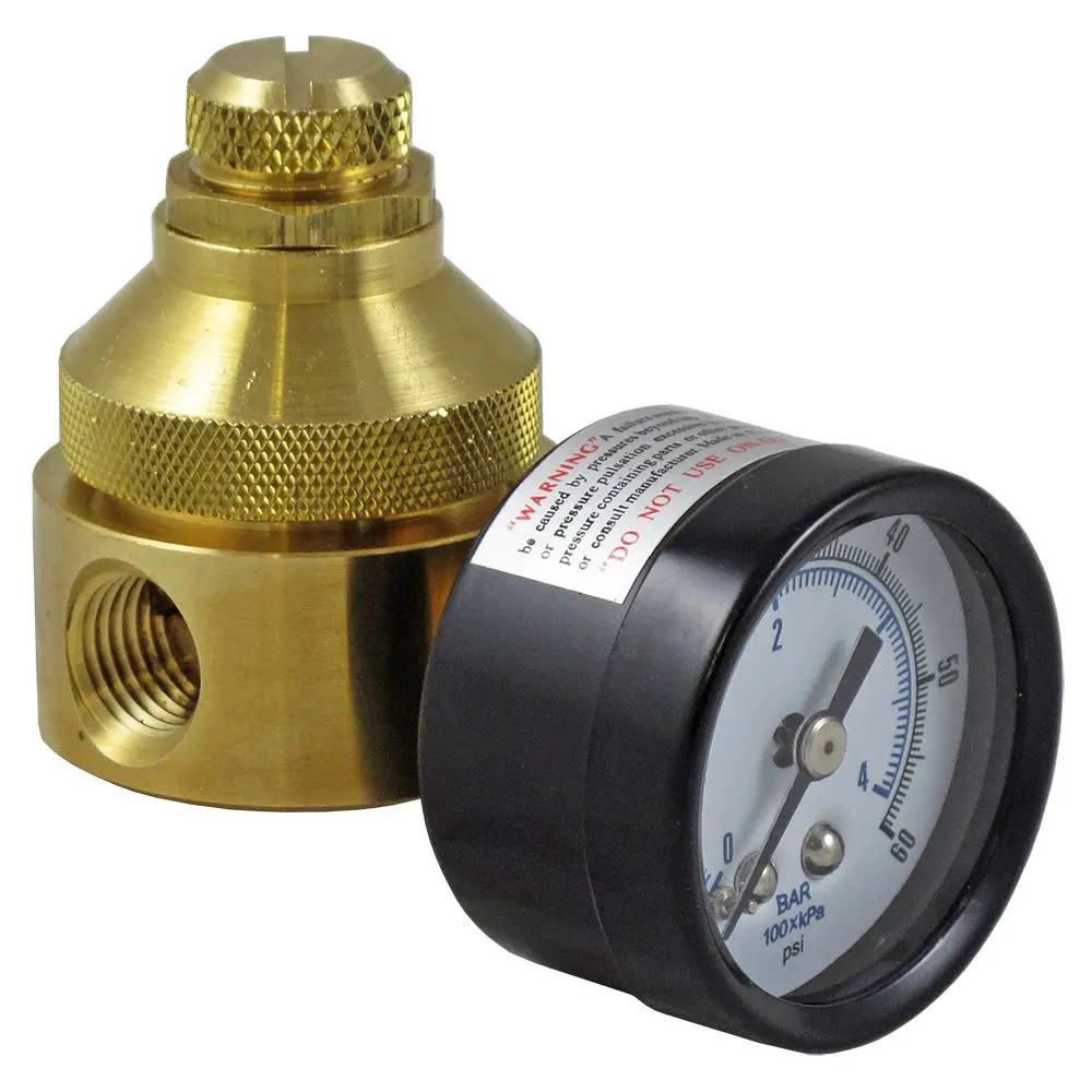 Watts Lead-Free Brass 560 Water Pressure Regulator W/Gauge 1