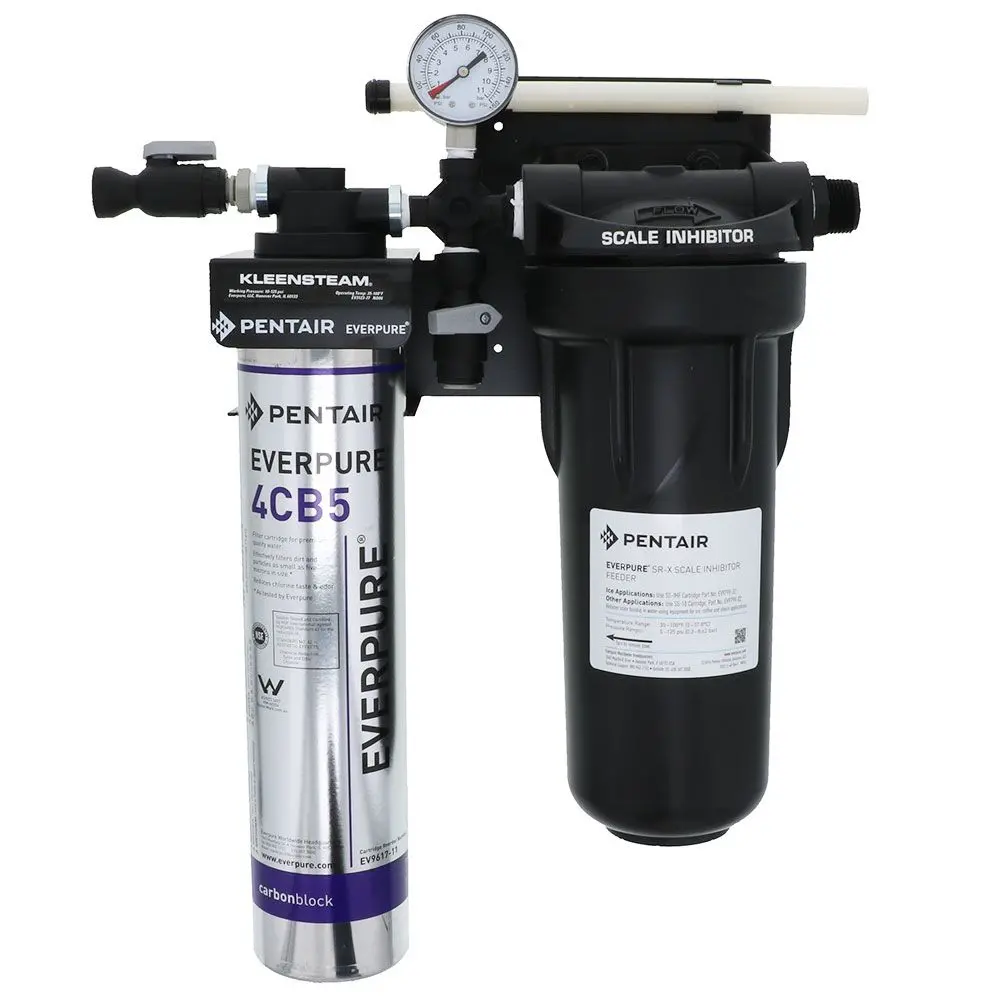 Everpure Ev9797-50 Kleensteam Ct System For Steam Applications 1