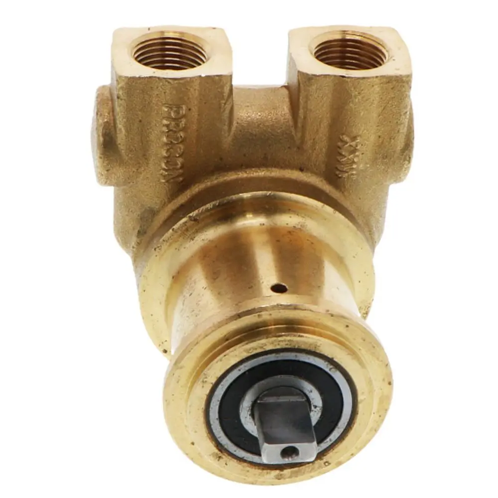 Procon Pump Nsf Brass 125 Gph 3/8" Npt W/ .188" Double Flat Drive (Clamp-On) 3