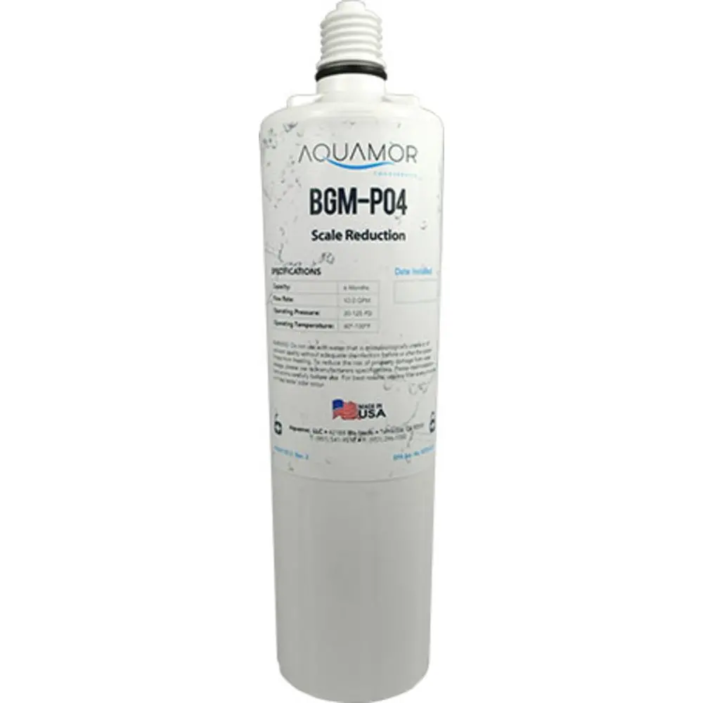Bgm-P04 Scale Inhibitor 1