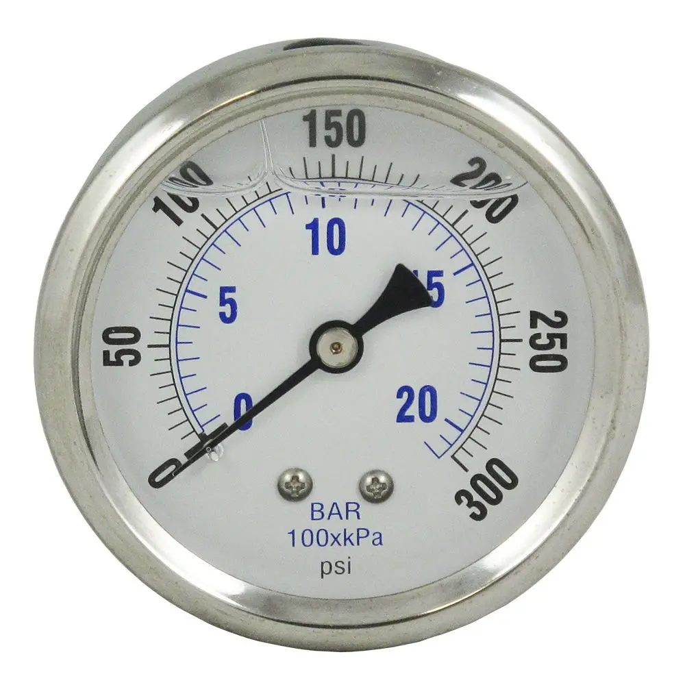 Water Pressure Gauge 300 Psi, 1/4" Mpt, 2.5" Plastic Dial, Center Mount, Ss Case 2