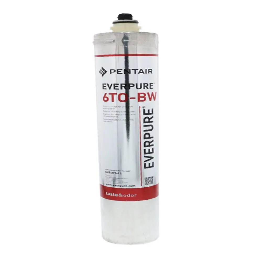 Everpure 6To-Bw 1