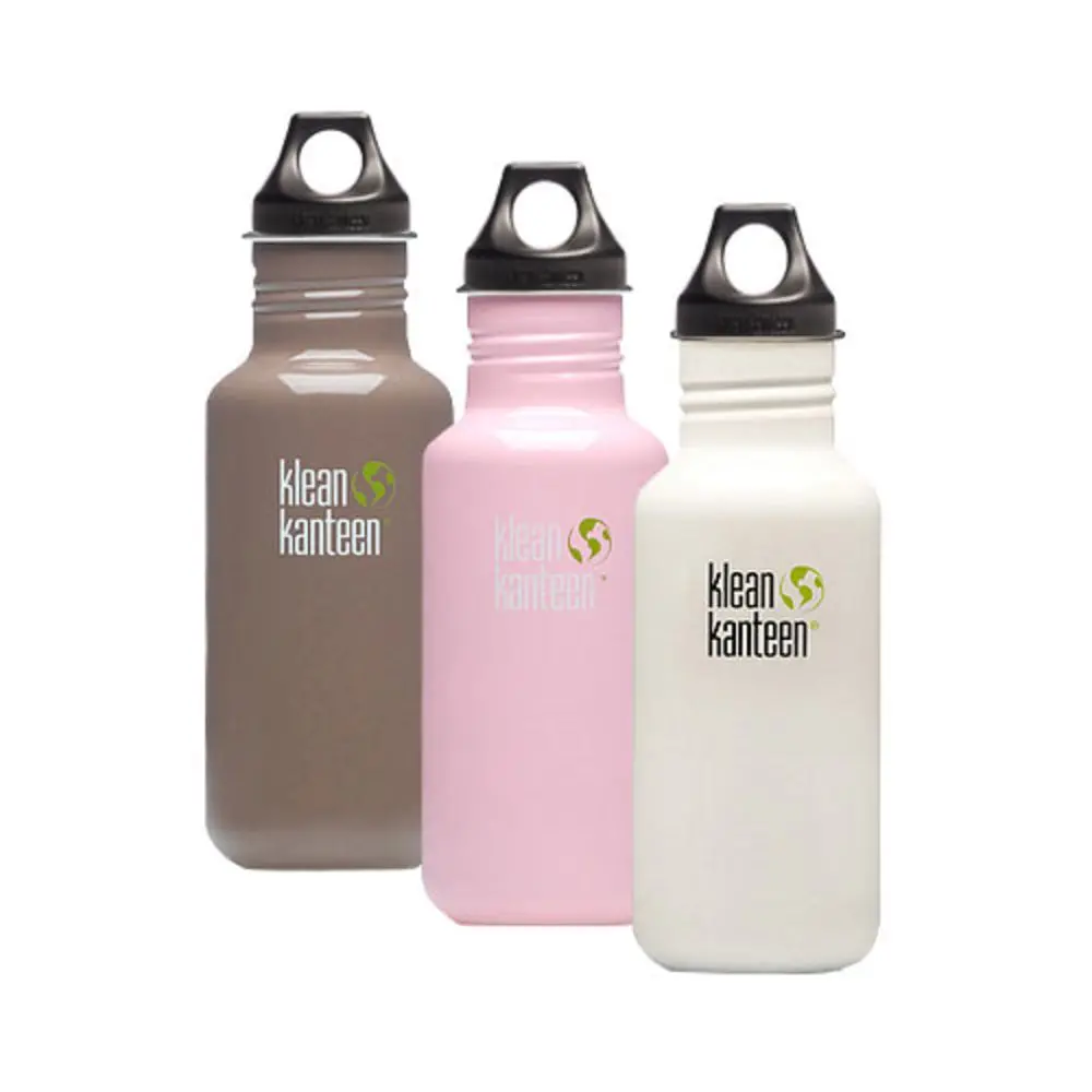 Klean Kanteen Classic 18 Oz. Stainless Steel Water Bottle W/ Poly Loop Cap 3