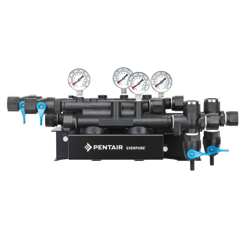 Everpure Ev9278-91 Qc7i Dual Inlet/Outlet (Dio) Head 1