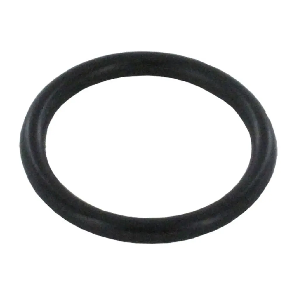 Dol-Fyn Gasket (Unit) / Heating Element O-Ring 1