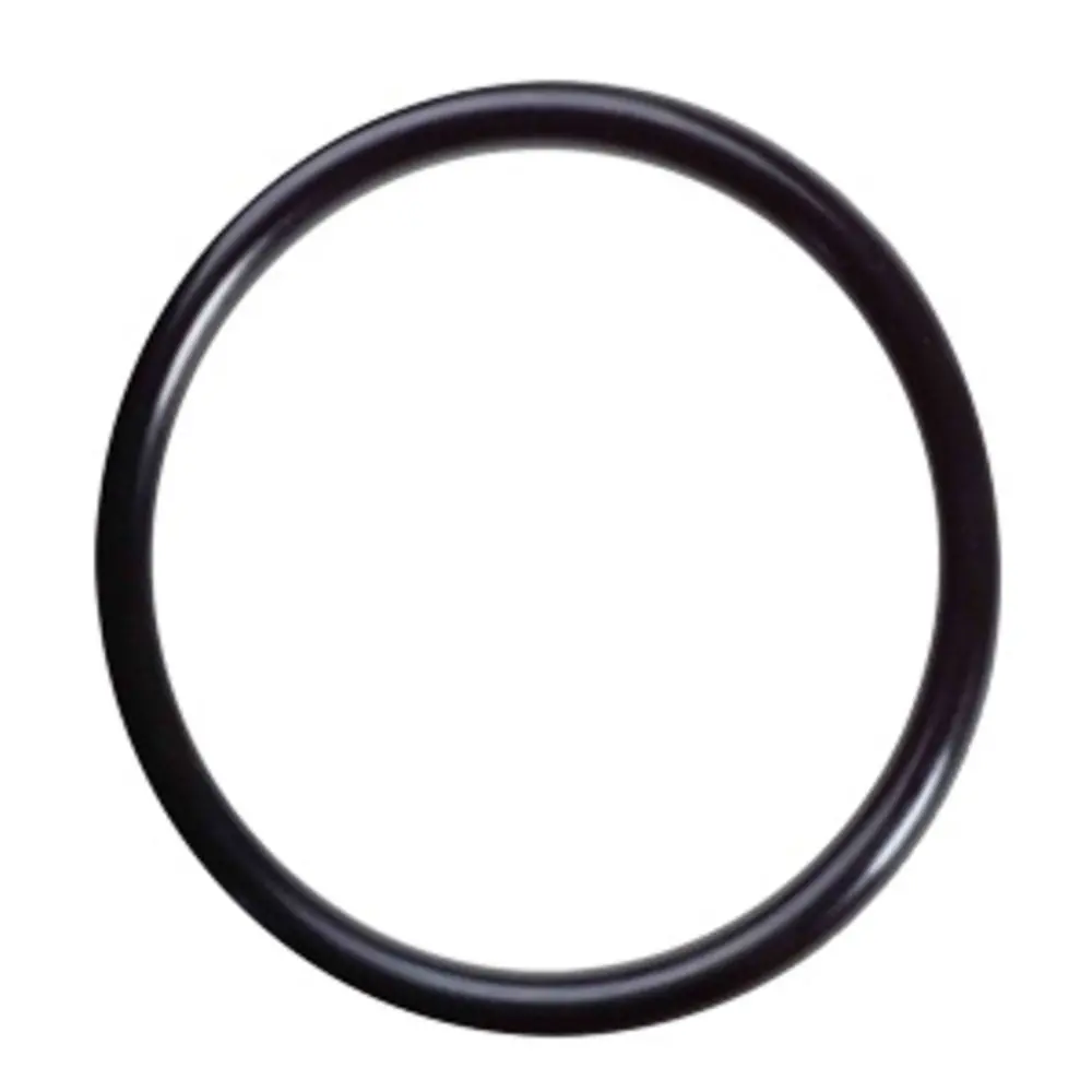 O-Ring 34202024 For Pura Uvbb Series Outer Quartz 1