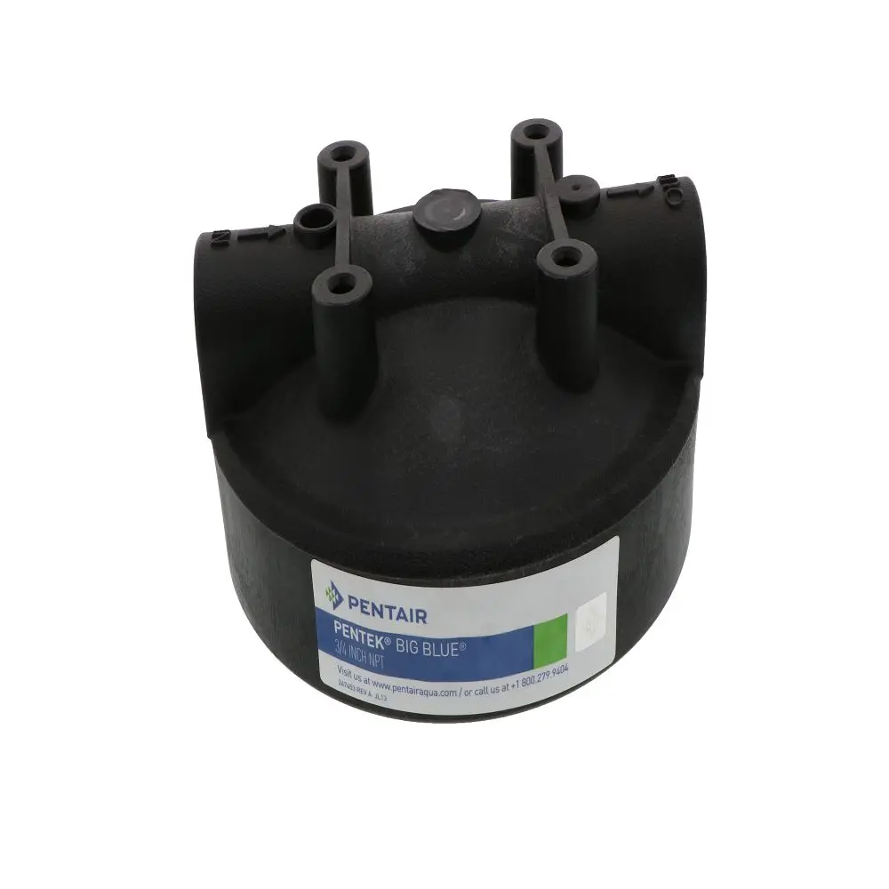 Pentek Black Hfpp Cap W/O Pr For Big Blue Housings 2
