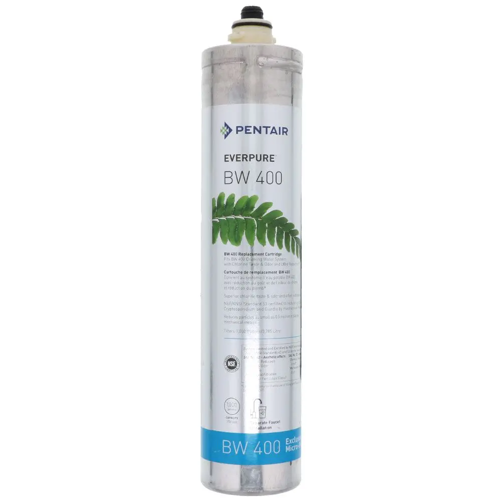Everpure Bw400 Ev966846 Filter Cartridge 1