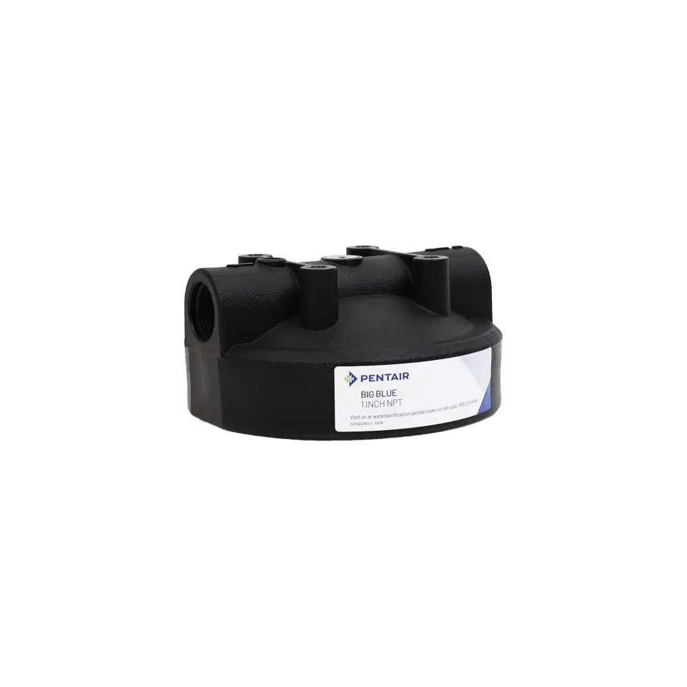 Pentek 154515 Black Bag Filter Cap -1/4"Vent - 1" Fpt 1