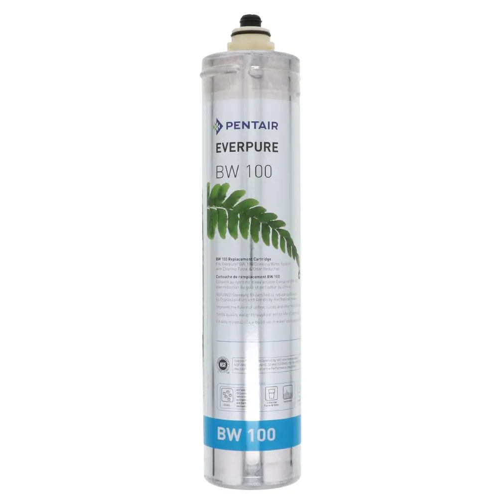 Everpure Bw 100 Ev9668-16 Filter Cartridge 1