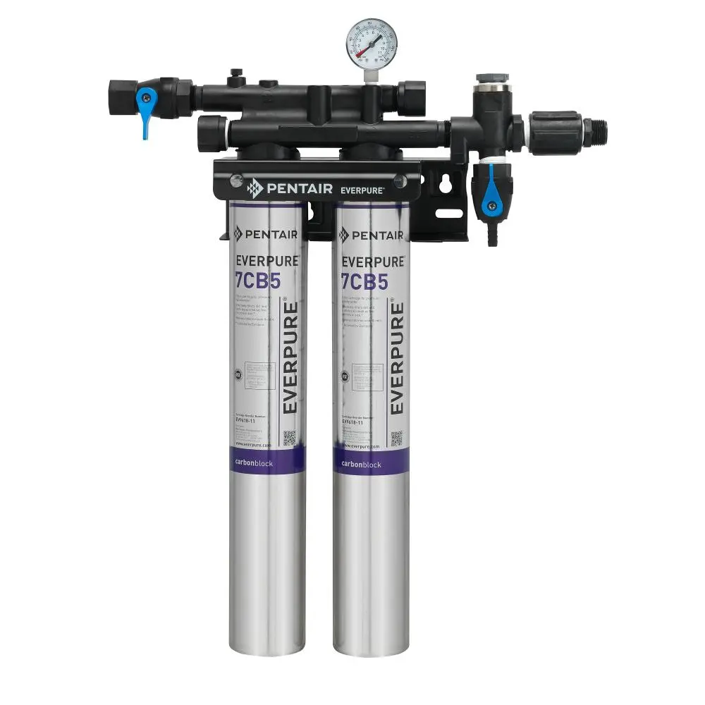 Everpure Kleensteam Ii Twin W/O Feeder 1
