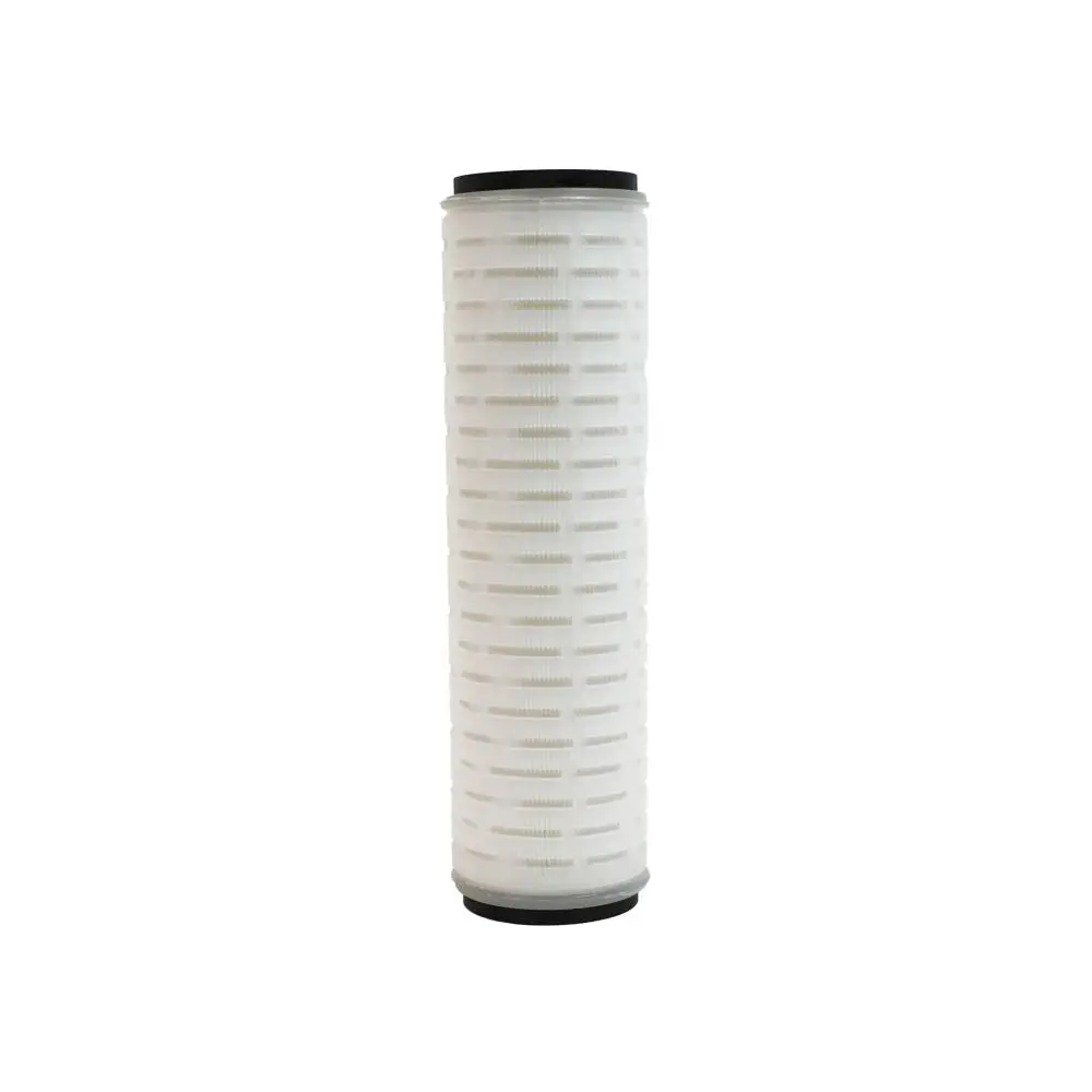 Neo-Pure Pes 9-3/4" 0.2 Micron Water Grade Membrane Doe, Buna Gasket 1