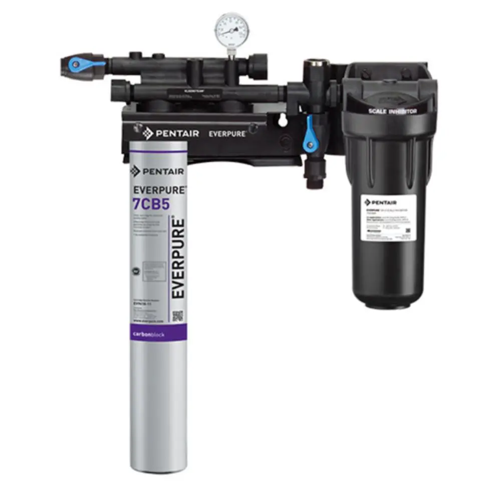 Everpure Ev9797-21 Kleensteam Ii Single System For Steam Applications 1