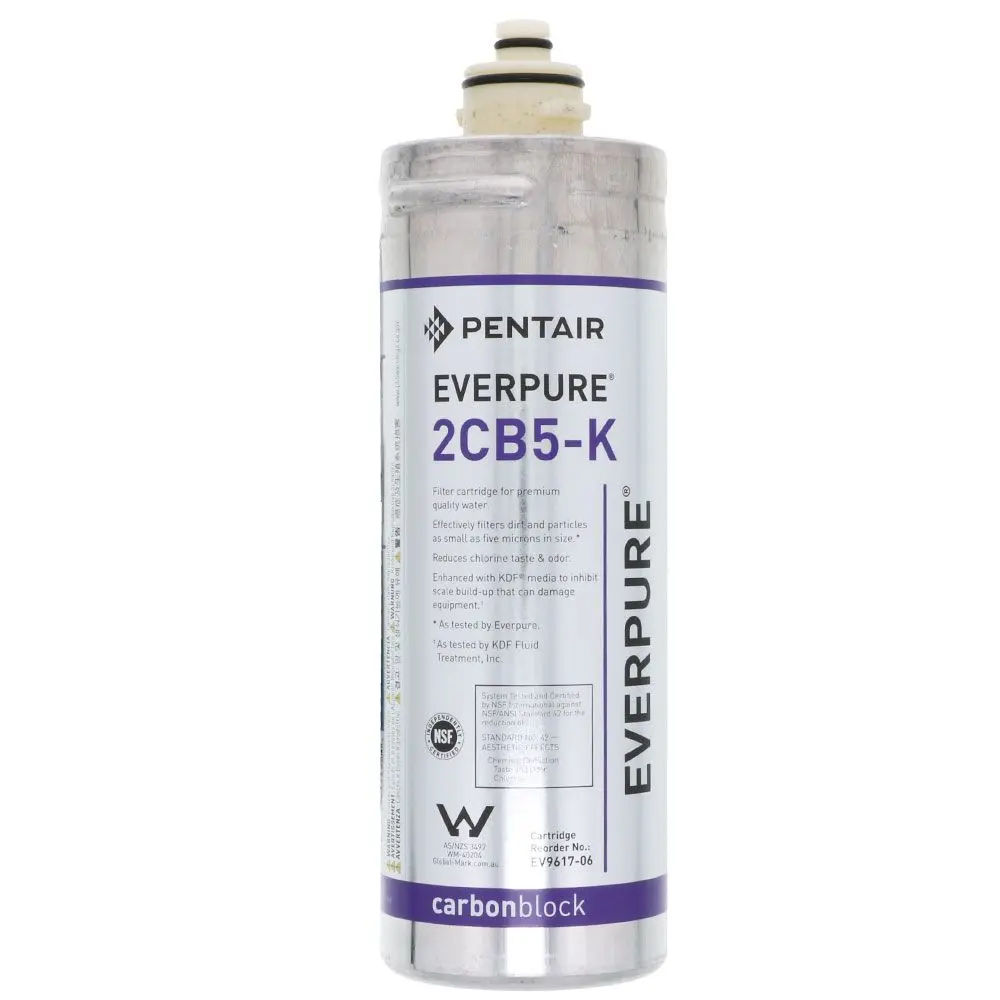 Everpure 2Cb5-K Ev9617-06 Filter Cartridge 1