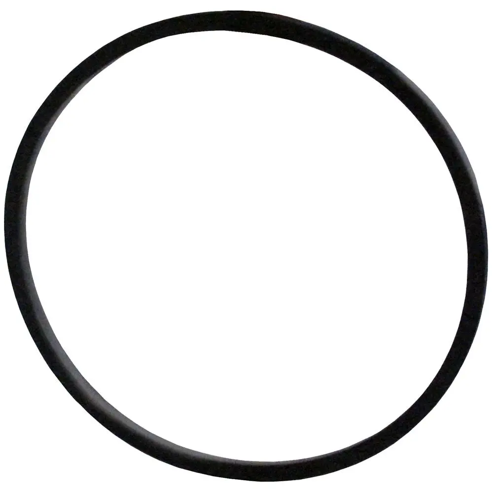 O-Ring For Ap200 / Ap210 Housing 1