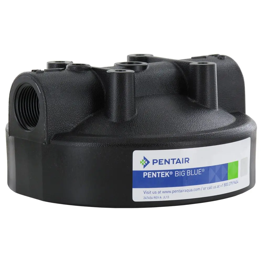 Pentek Black Hfpp Cap W/O Pr For Big Blue Housings 1