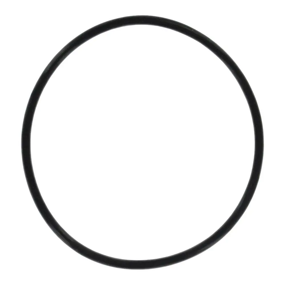 Everpure 143273 O-Ring For Cb20 Series Housings 1