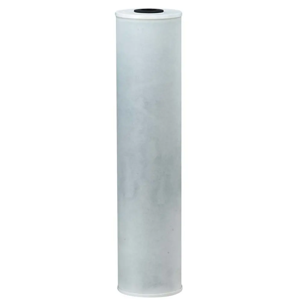 20" Bb Watts Maxrfl-Ff20 C-Max Radial Flow Gac Filter 20 Mic 1