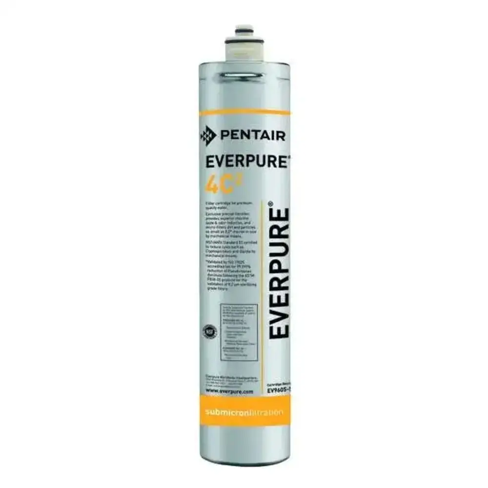 Everpure Ev9605-50 4C2 Filter Cartridge 1