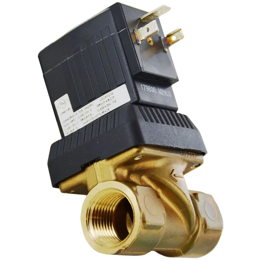 Burkert 2-Way Solenoid Valve Normally Closed 1/2 Fpt 240V 1