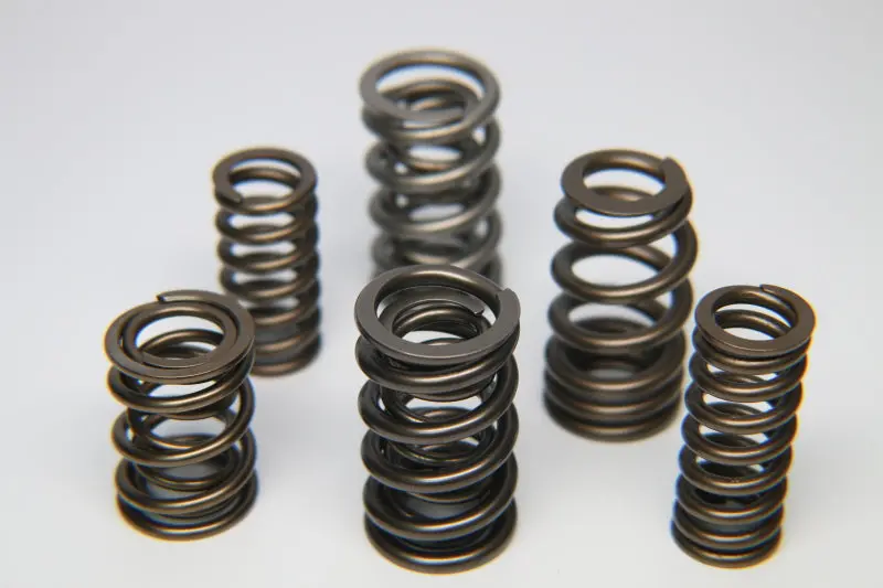 Ferrea Chevrolet Ls1/Ls7 (5/16 Conversion Kit) Dual Pro Pac Alloy Valve Spring - Set Of 16 1