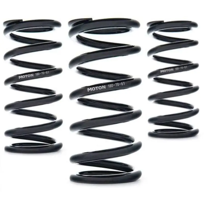 Ast Linear Race Springs — 220Mm Length, 80 N/Mm Rate, 61Mm Id (Pair) 1